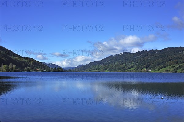 Alpsee lake