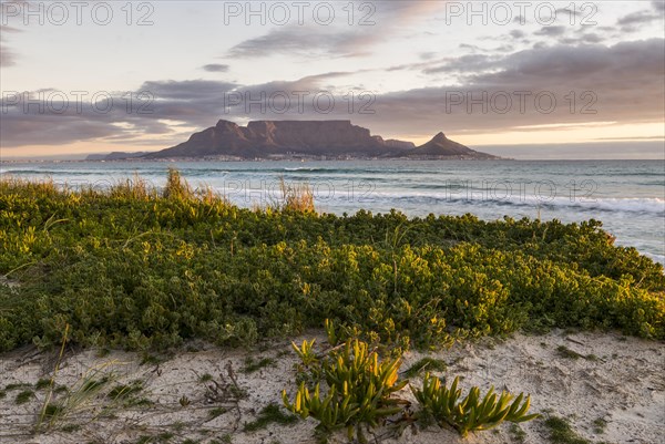 Table Mountain