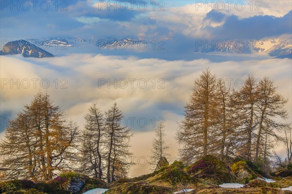 Early morning in the mountains