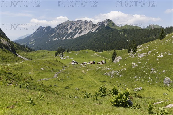 Laguz Alps with Breithorn Mountain