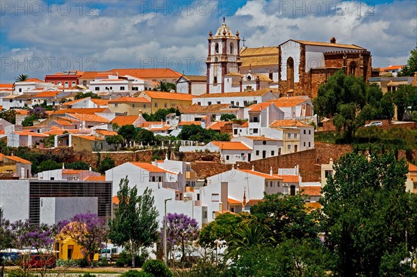 Townscape of Silves