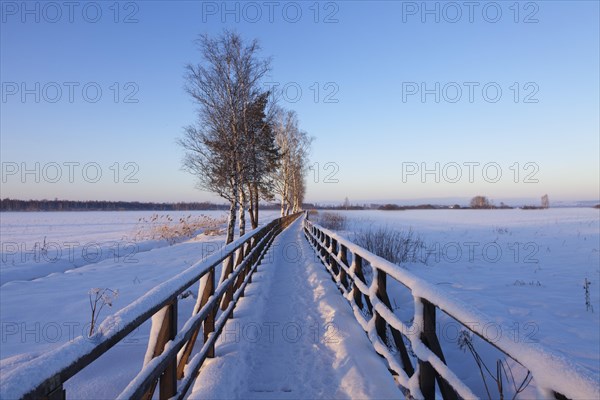 Boardwalk