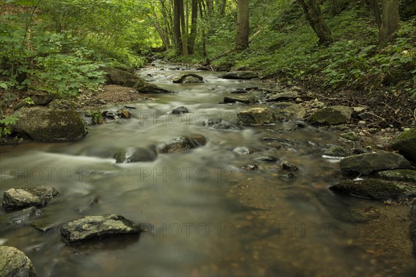 Kajabach stream