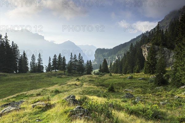 Countryside with mountains and meadows in the Glarus Alps