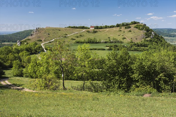 Ehrenburg plateau