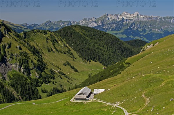 Mt Alpe Gritsch or Alp Gritsch near Malbun