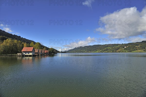 Alpsee lake with boathouses