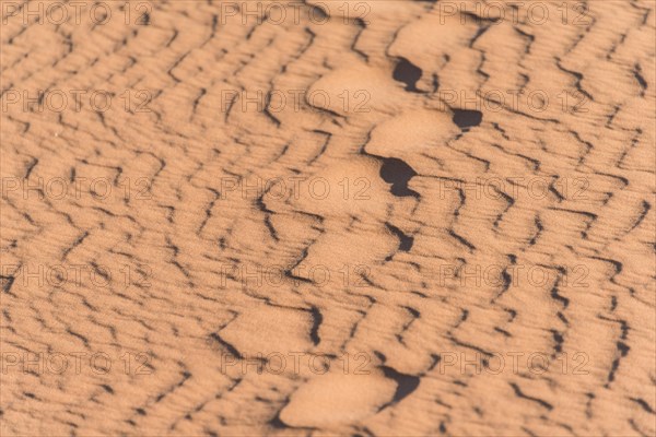 Wave pattern in the sand