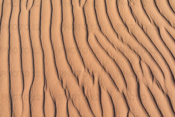 Wave pattern in the sand