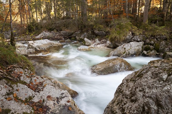 Ramsauer Ache River in the enchanted forest