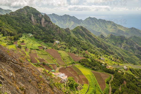 View from the Mirador Pico del Ingles