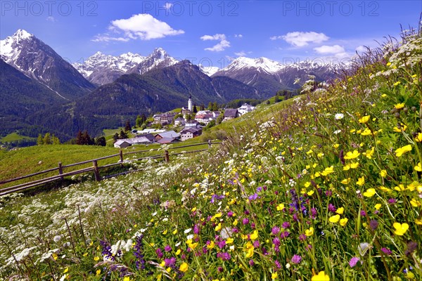 Meadow flowers against Ftan in the Lower Engadin
