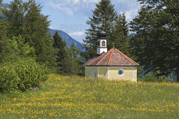 Chapel 'Maria Rast auf den Buckelwiesen'