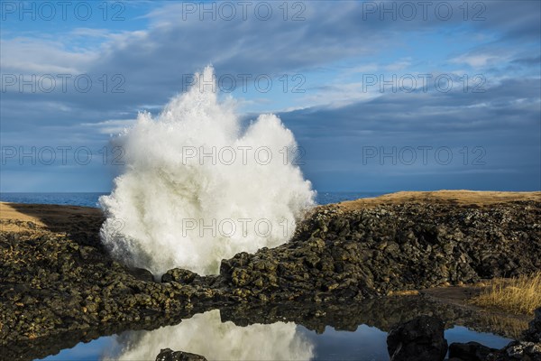 Fountain from a blowhole