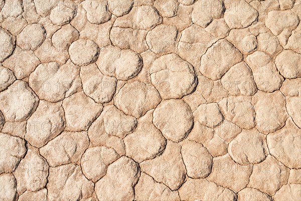 Dried sandy ground