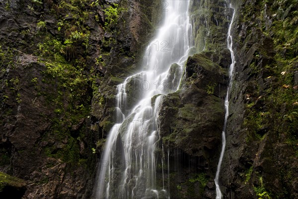 Waterfall in the forest