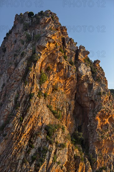 Bizarre rock erosions in the evening light