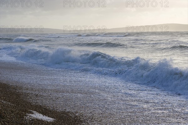 Winter sea coast