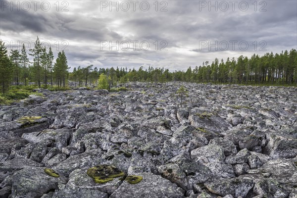 Plain covered in rocks