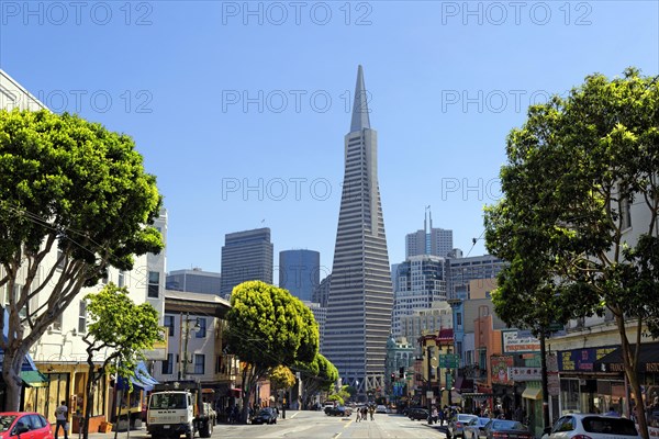 Transamerica Pyramid and Columbus Avenue