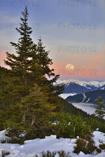 Fog over Zillertal Valley