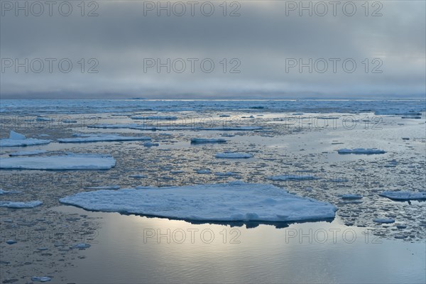 Ice floes