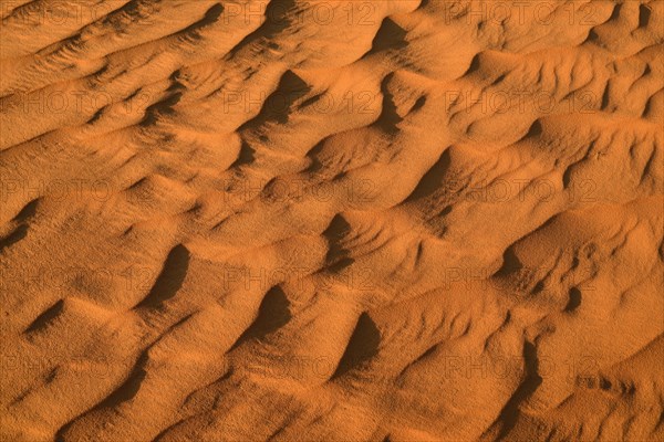 Sand ripples