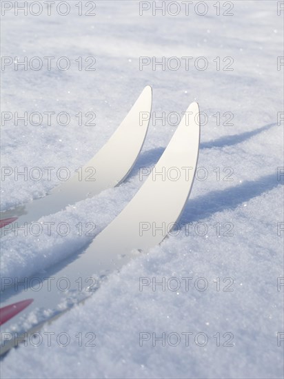 Cross-country skis