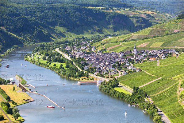 Moselle River with the village of Enkirch surrounded by vineyards