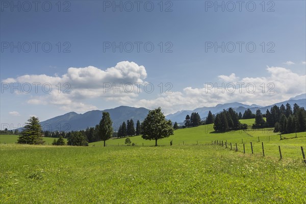 Cultivated landscape