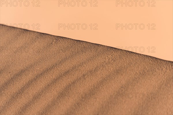 Ridge of a dune