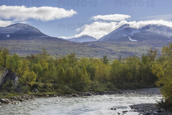 Autumn coloured birch trees on the Abiskojakka river