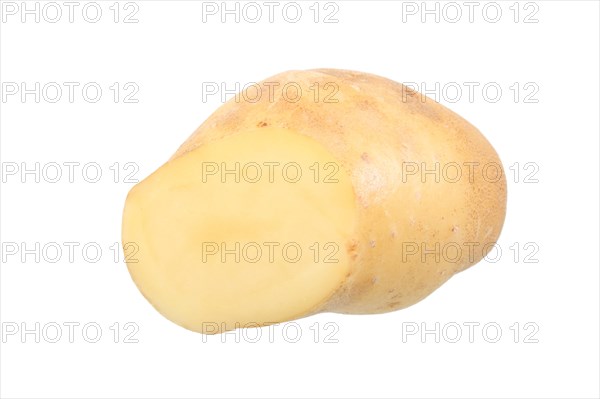 Potato