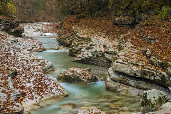 Autumn in the Tauglgries Nature Reserve