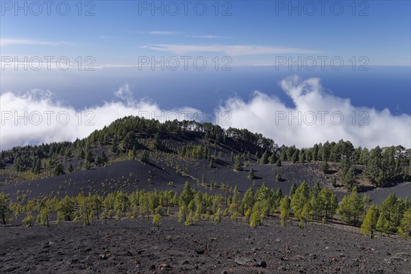 View from the Volcano San Martin