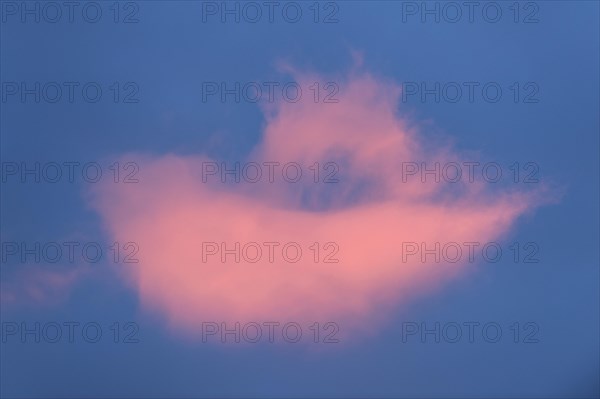 Clouds in the evening light