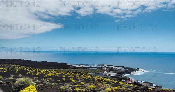 Coast with the Salinas Teneguia salt evaporation ponds