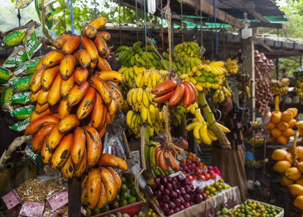 Fruit stand