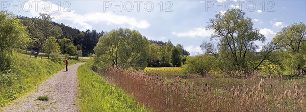 Woman on a trail through the Morsbachtal valley