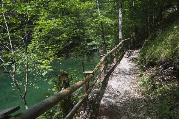 Hiking trail in Mendlingtal valley