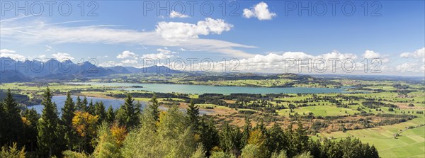 Autumn landscape near Buchenalp overlooking Ostallgau with the lakes of Forggensee and Bannwaldsee