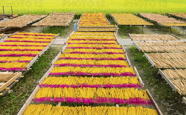 Bamboo sticks for the production of incense sticks