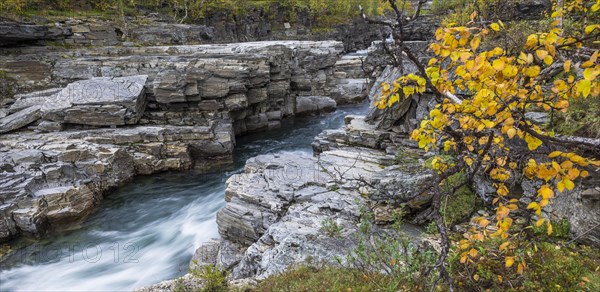 Autumn colours at the Abiskojakka river