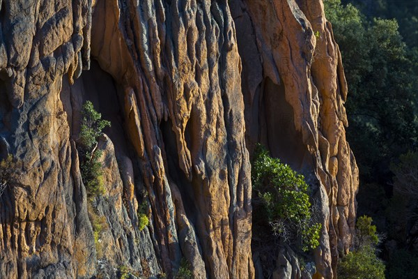 Bizarre rock erosions in the evening light