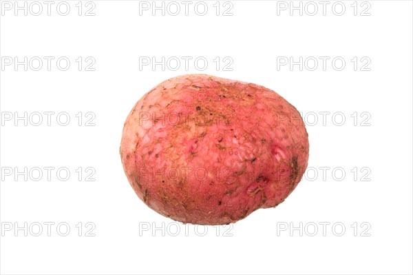 Potato