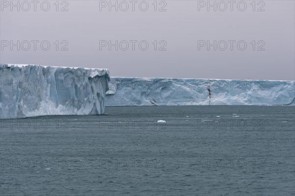 Brasvellbreen