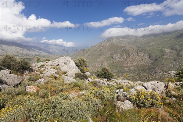 Kedros Mountains