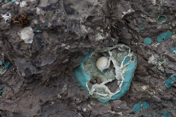 Zeolite geode