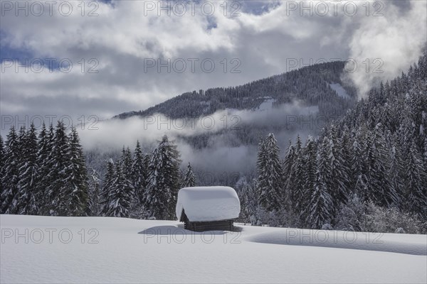 Wooden hut covered with a lot of snow