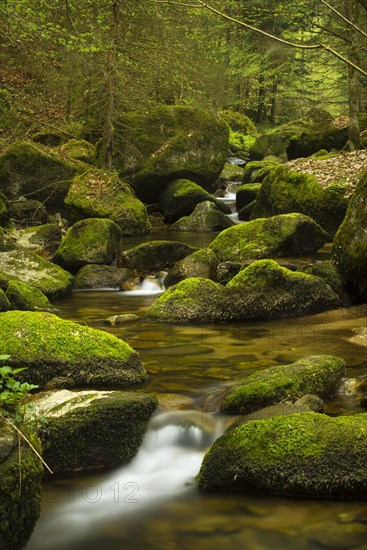 Stillensteinklamm gorge